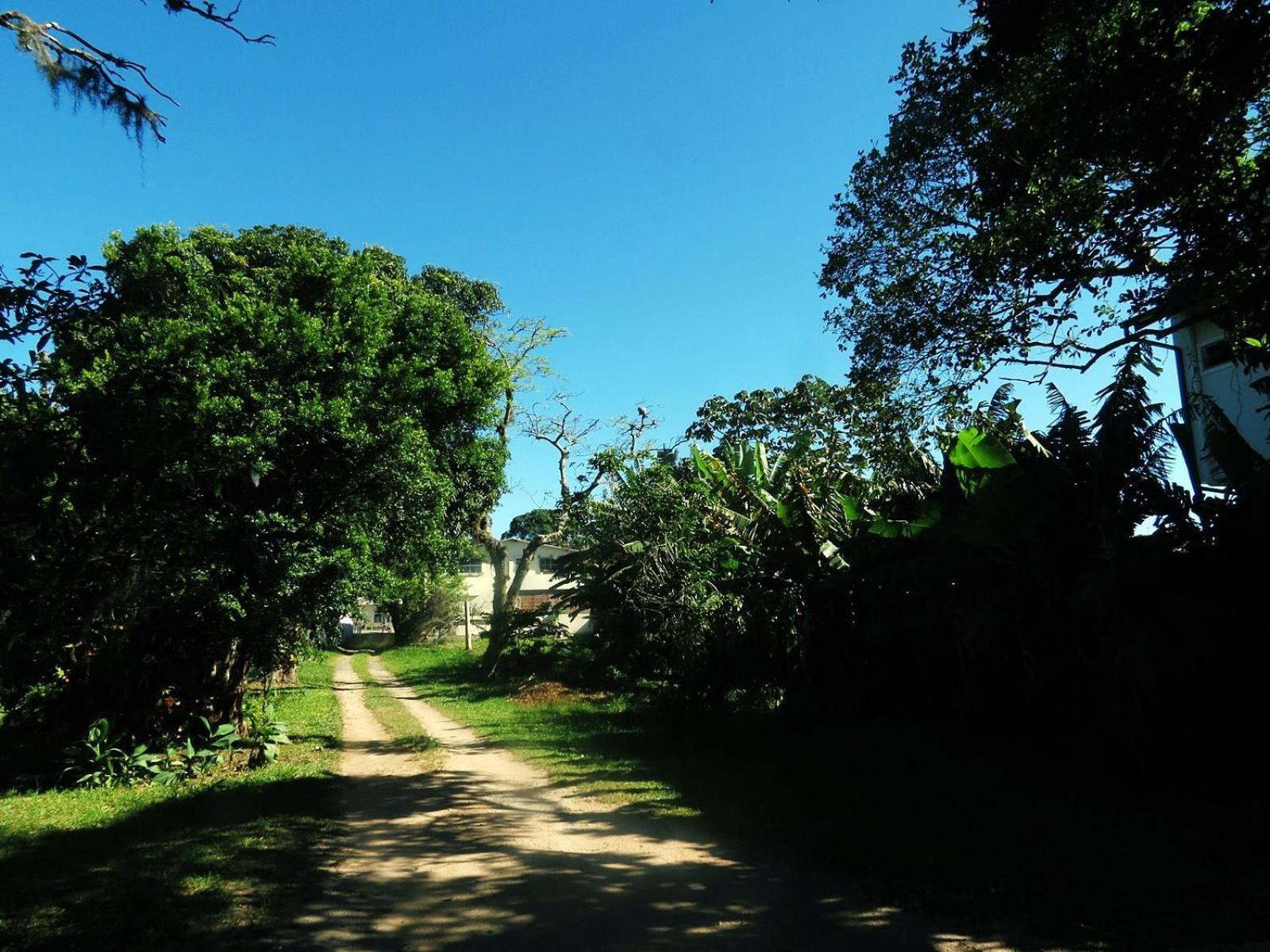 Solar Vovo Emma House Villa Penha  Værelse billede